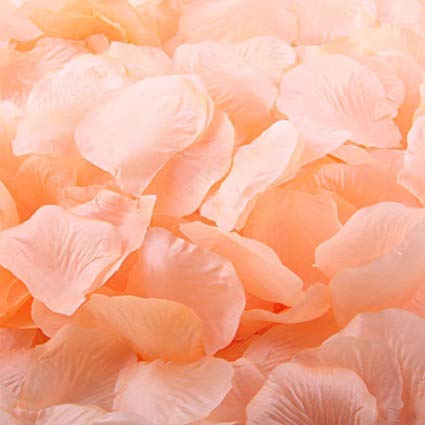 petali finti pesca 500 pezzi - Fioreproibito