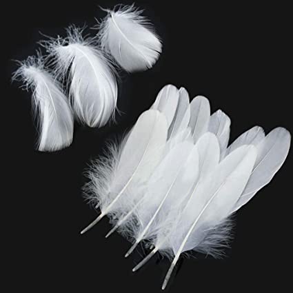 piume decorative bianche - Fioreproibito