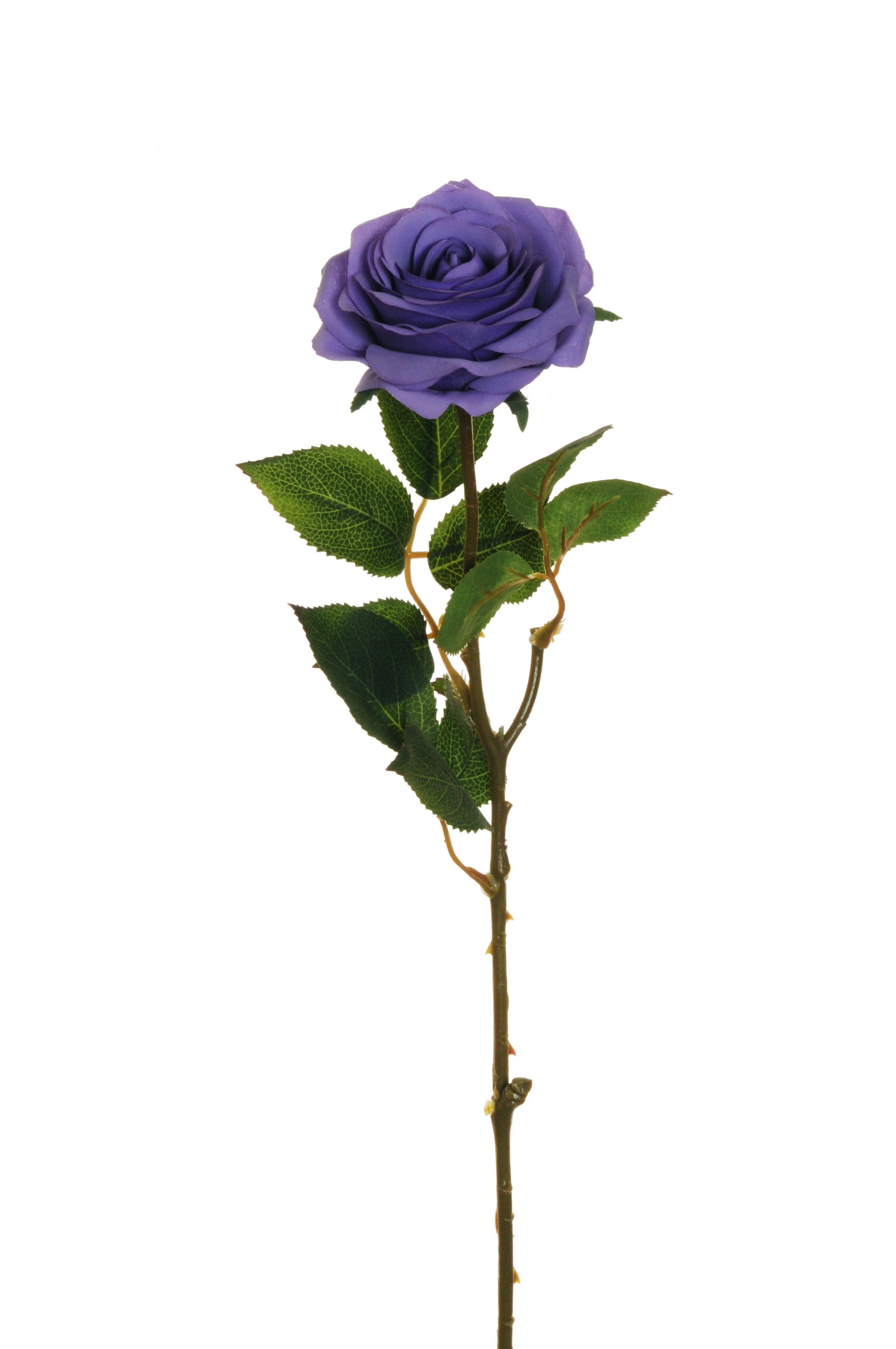ramo di rosa color lilla - Fioreproibito