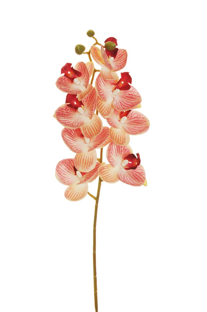 orchidea mini artificiale rosa e giallo - Fioreproibito