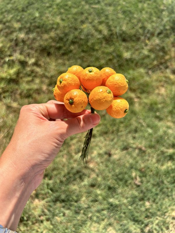 pick mini di arance