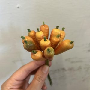carote finte