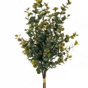 eucalipto finto verde
