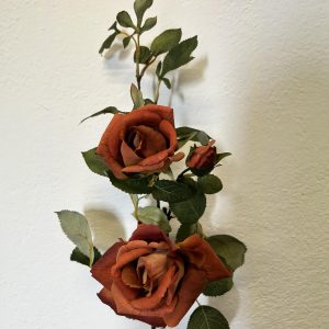 ramo di rose