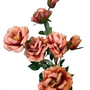 rose finte rosa antico